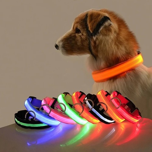 Led hundehalsband nylon leine - hundehalsband,