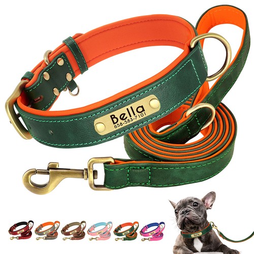 Personalisiert hundehalsband - hundehalsband, &