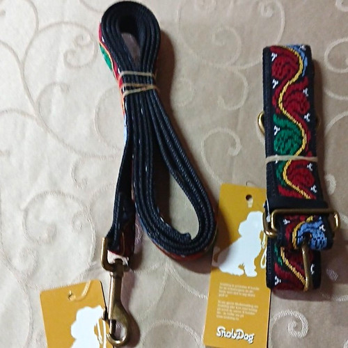 Hundeleine 160 halsband - hundeleine, cm+