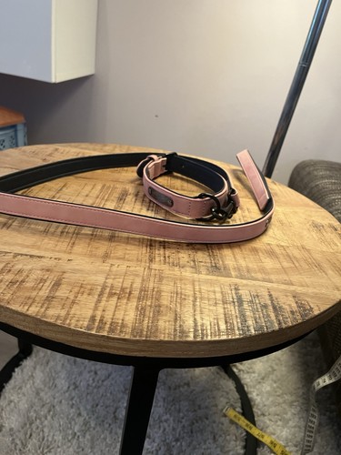 Set mit hundehalsband und - set,