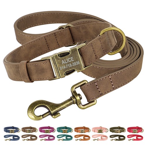 Hundehalsband und leine - und, set